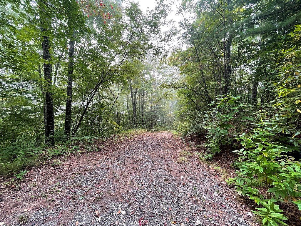 LOT 53 Still Branch Rd Whittier, NC 28789 - Thumbnail 4