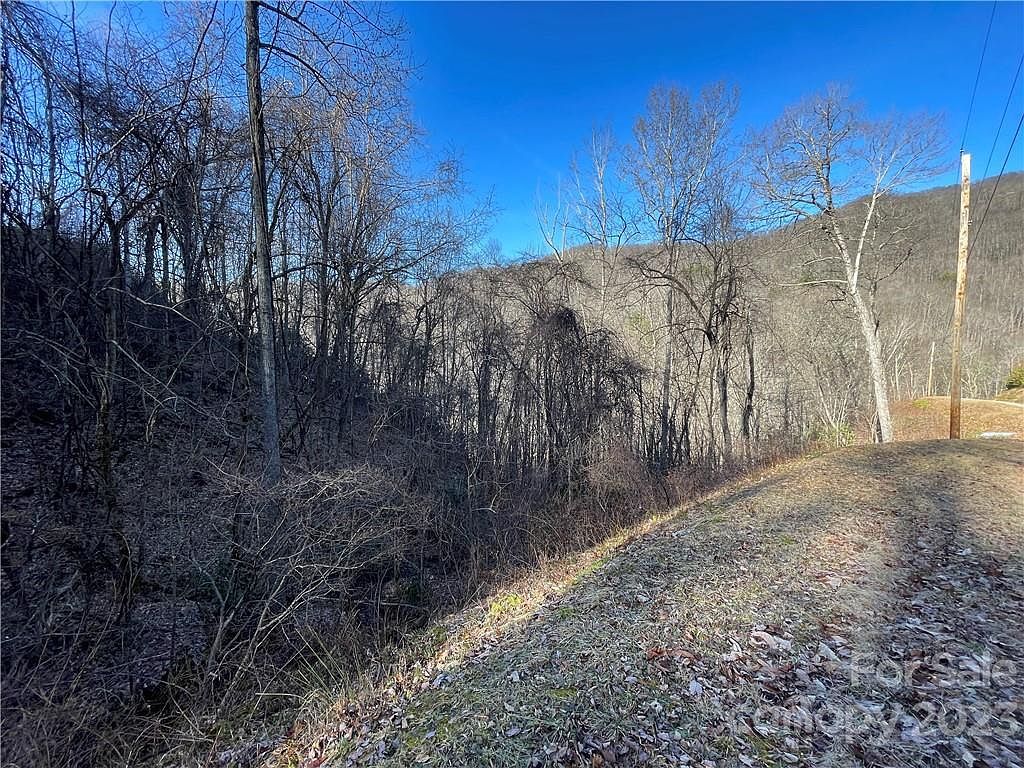 LOT 38 Brush Creek Mountain Rd Bryson City, NC 28713 - Thumbnail 4