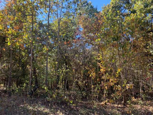 000 Nubbin Ridge Road, Mammoth Spring, AR, 72554 - Thumbnail 4