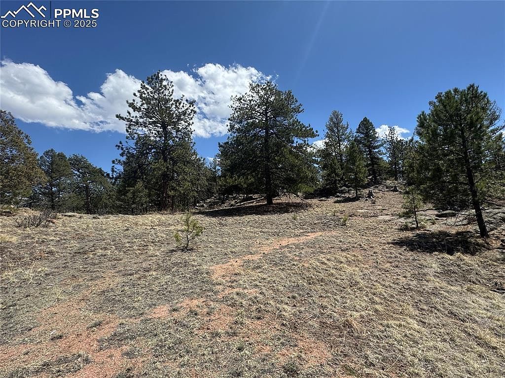 487 Pike View Ln Florissant, CO 80816 - Thumbnail 4