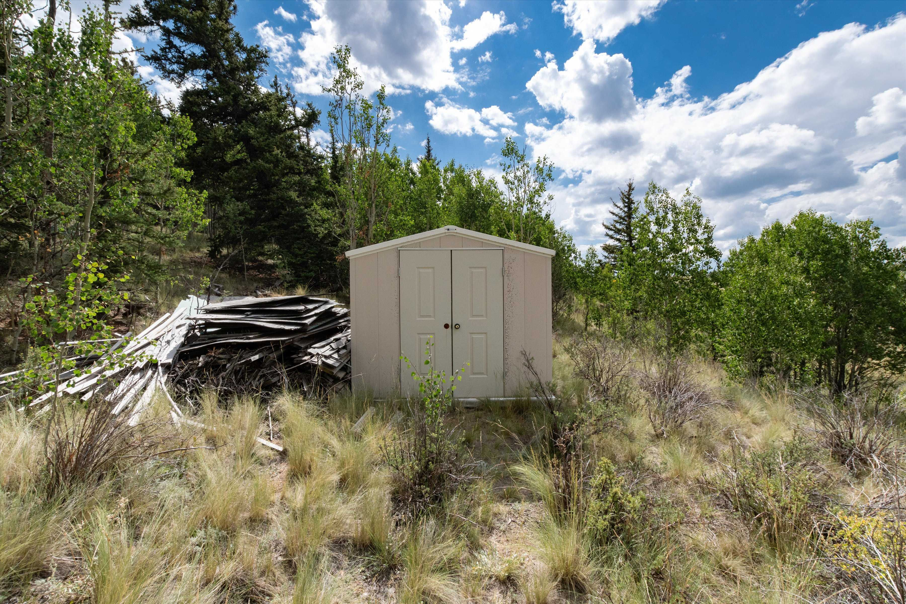 63 Welsh Cob Lane, Jefferson, CO, USA, 80456 - Thumbnail 4