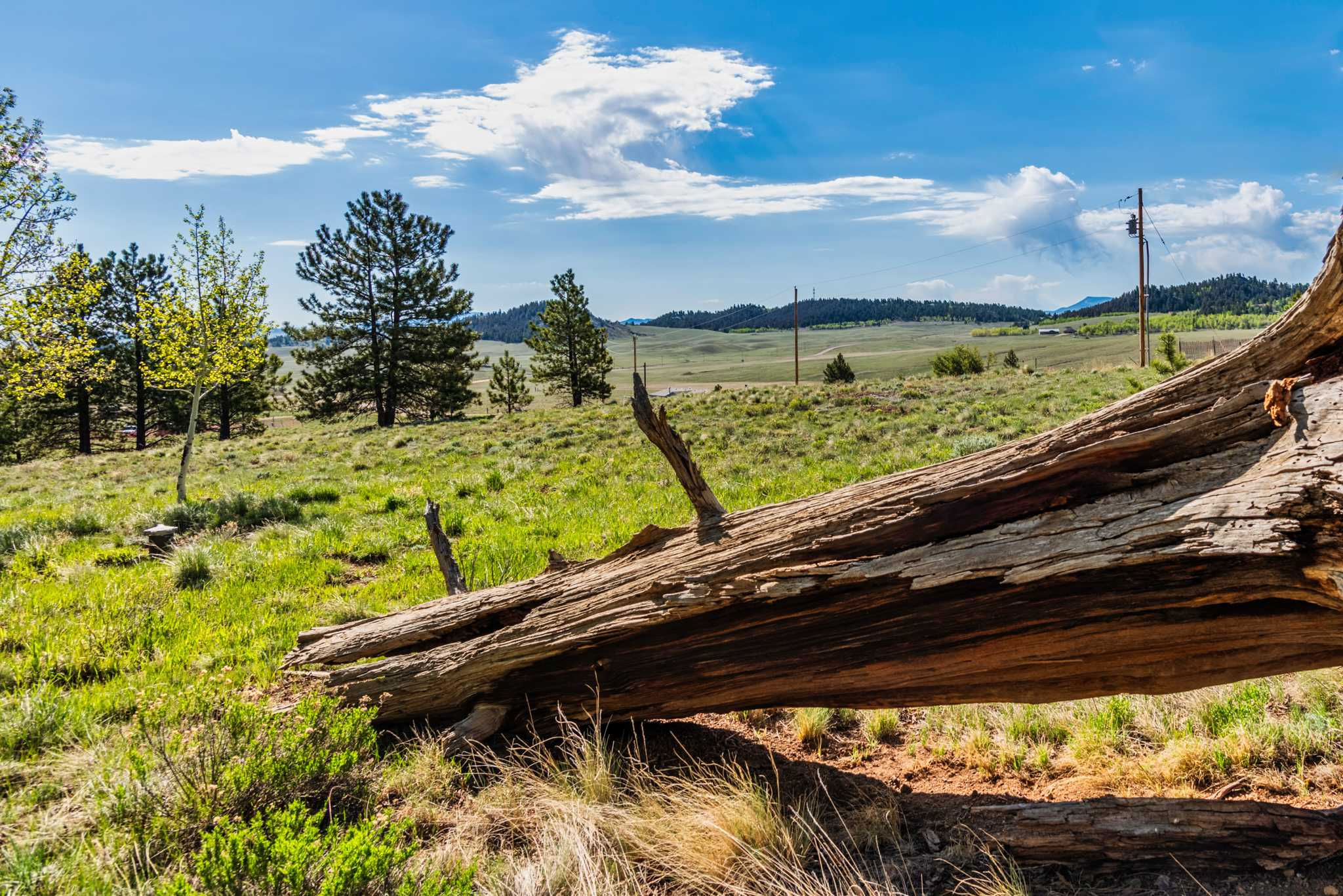 152 Wagon Wheel Road, Hartsel, CO, 80449 - Thumbnail 4