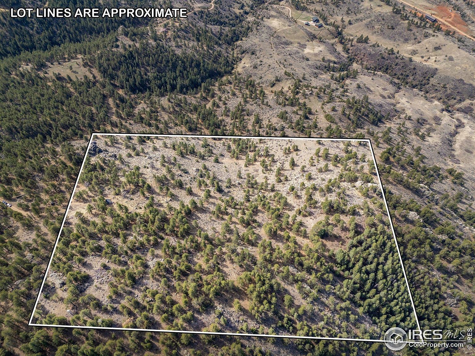 9316 Tawny Lynx Road Loveland, CO 80538 - Thumbnail 4