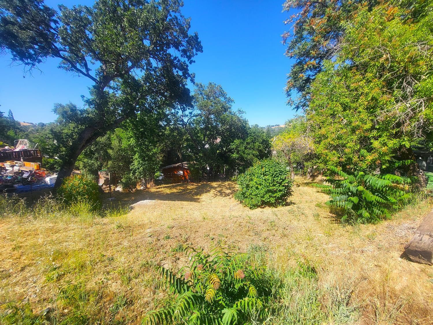 1350 Love St Angels Camp, CA 95222 - Thumbnail 4