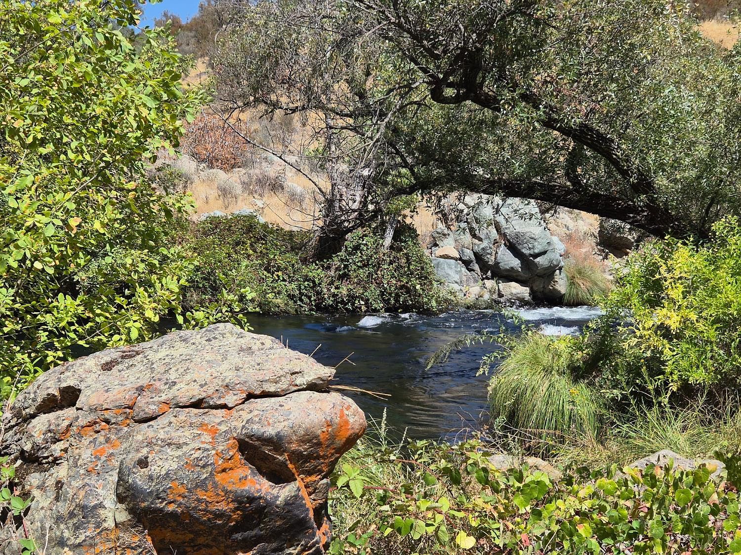 6647 Cane Ln Valley Springs, CA 95252 - Thumbnail 4