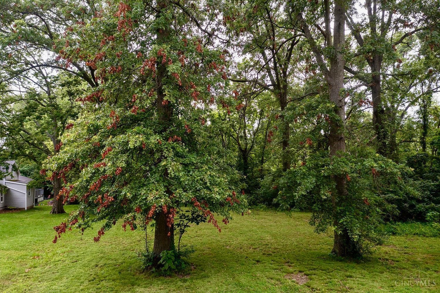 1 Buckwheat Rd Milford, OH 45150 - Thumbnail 4