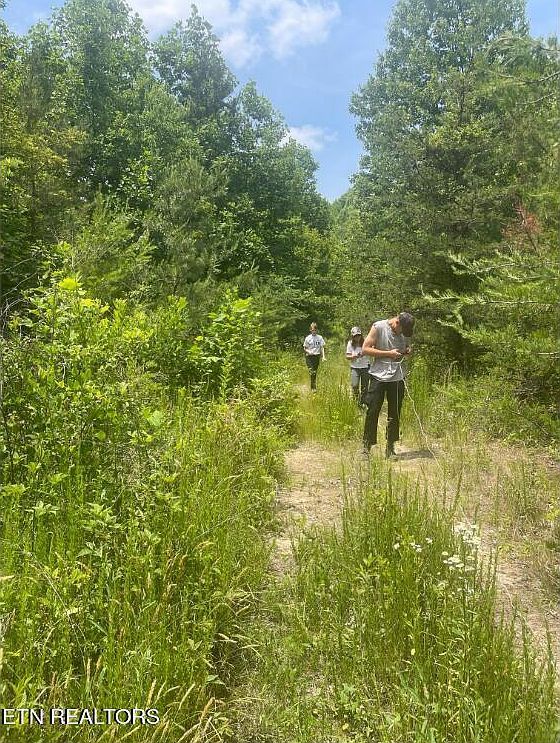 Hatfield Creek Rd Newcomb, TN 37819 - Thumbnail 4