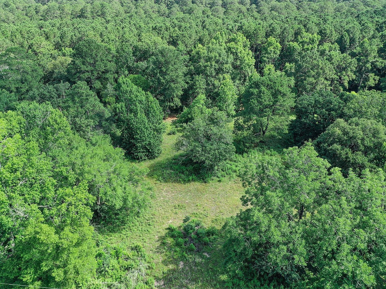 373 Johnson Rd Huntsville, TX 77320 - Thumbnail 4