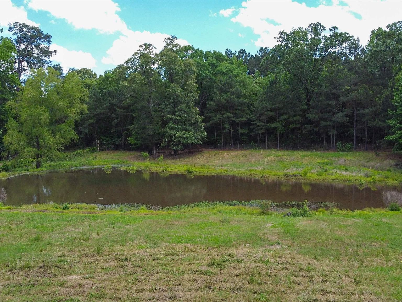 3388 County Road 4223 Bivins, TX 75555 - Thumbnail 4