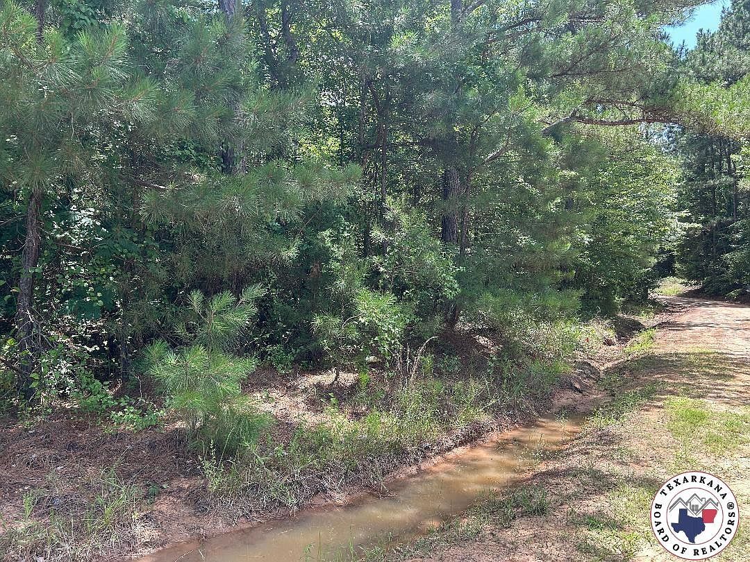 County Road 4342 Bivins, TX 75555 - Thumbnail 4