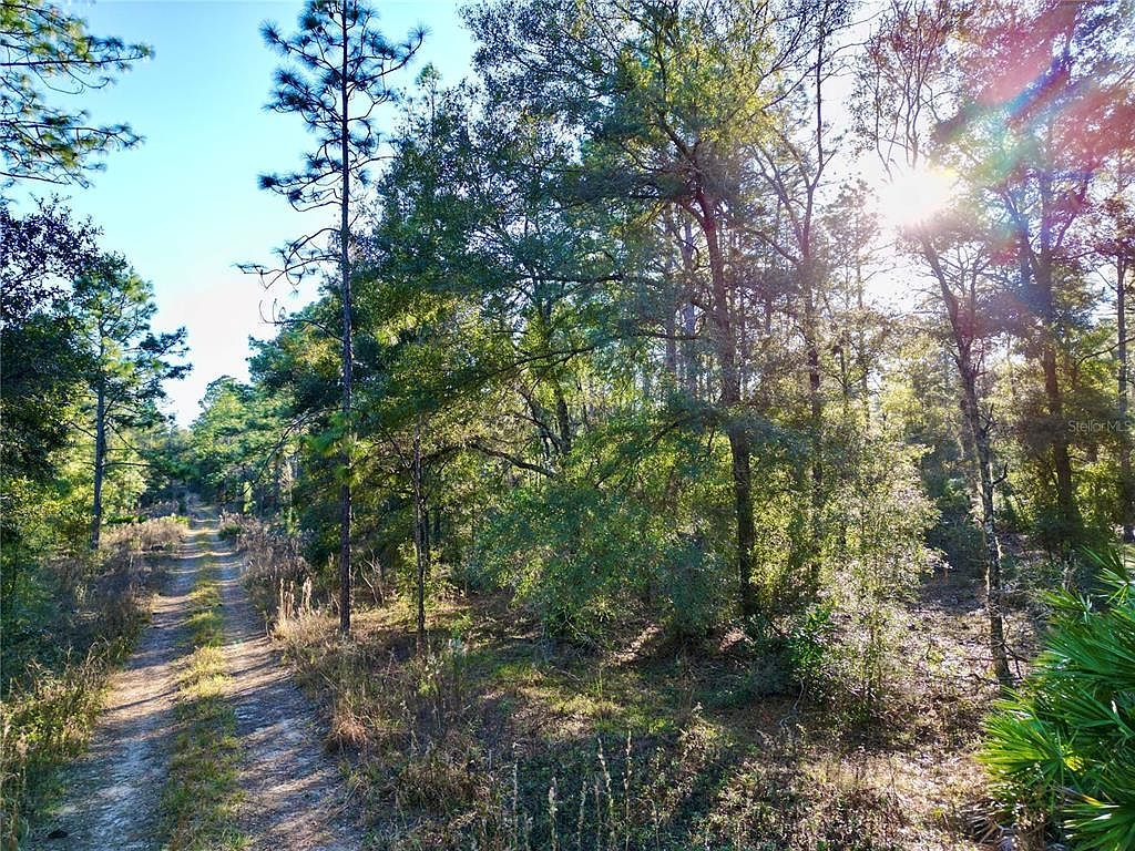 SW 155th Ave #12 Ocala, FL 34481 - Thumbnail 4