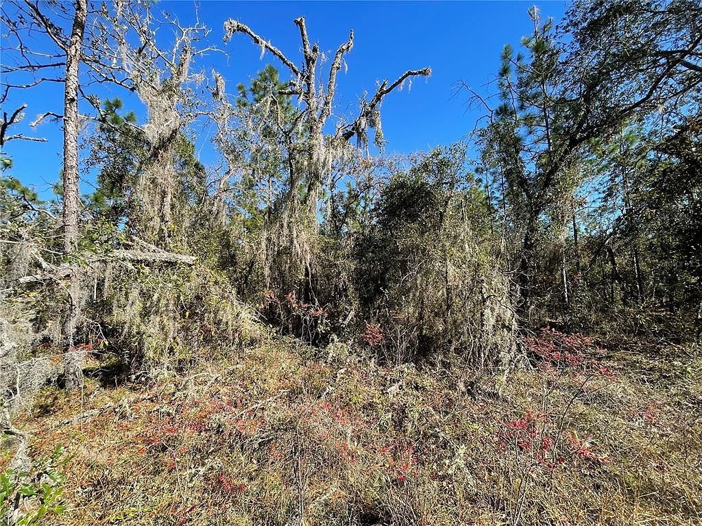 LOT 37 SE 126th Ter LOT 37 Dunnellon, FL 34431 - Thumbnail 4