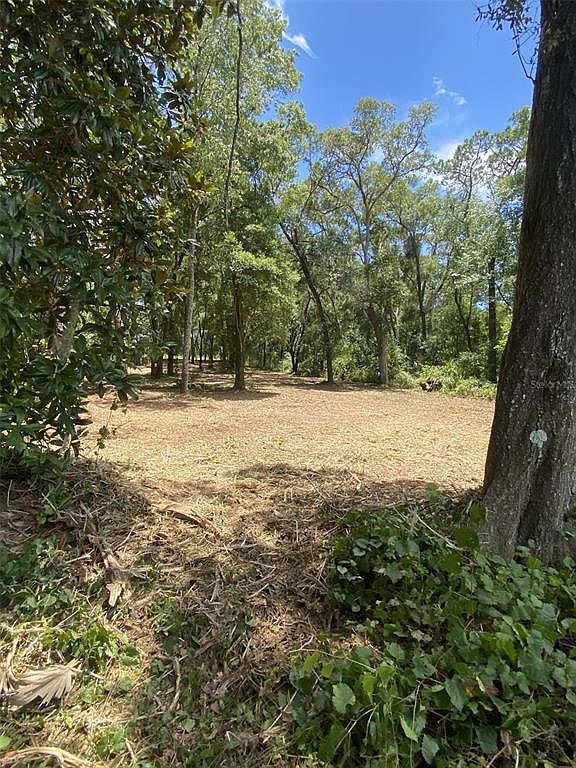 163 SW Shorewood Dr LOT 163 Dunnellon, FL 34431 - Thumbnail 4