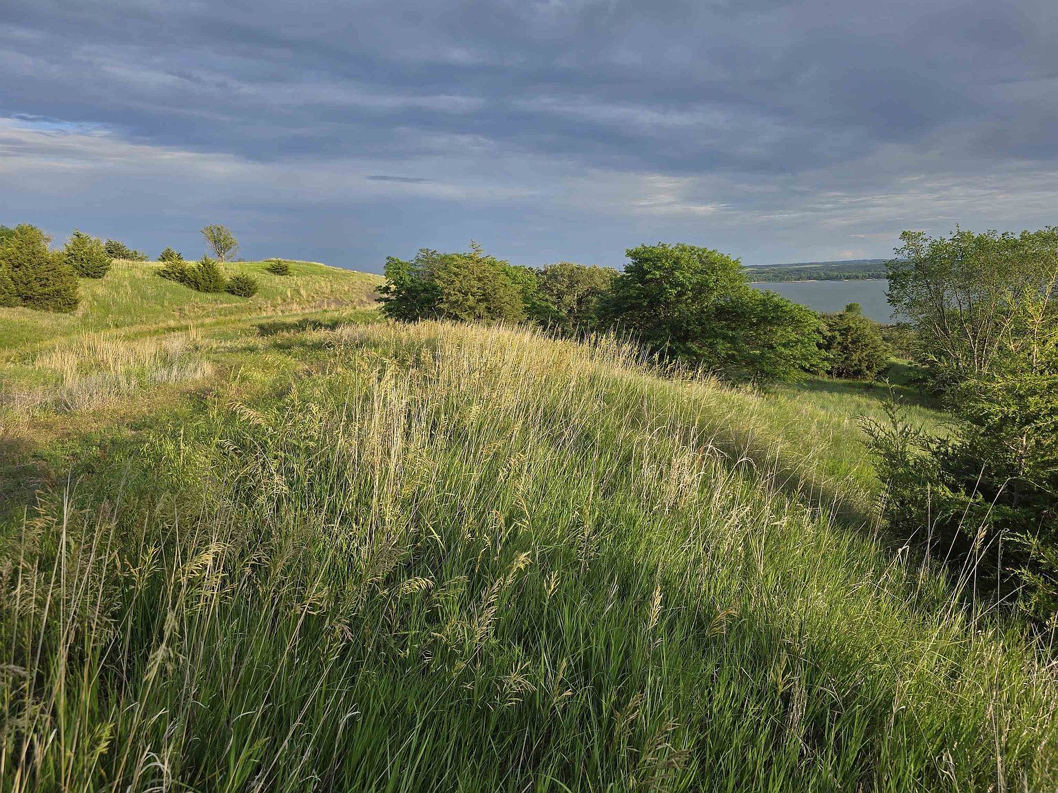 LOT 11 Lake Forest Dr Tabor, SD 57063 - Thumbnail 4