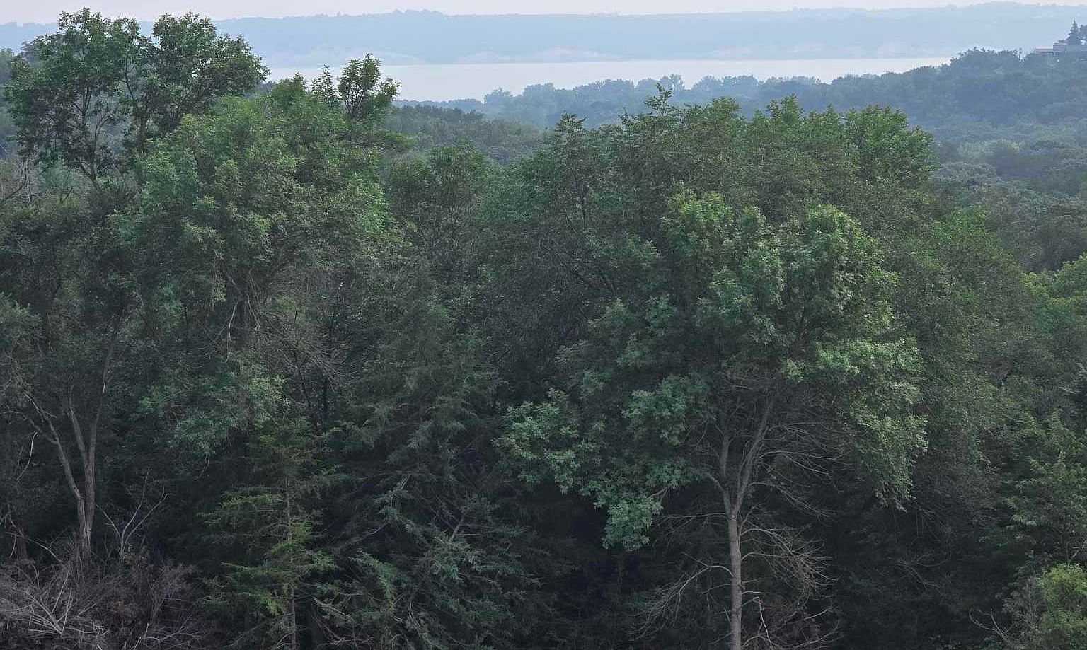 43353 311th St Yankton, SD 57078 - Thumbnail 4