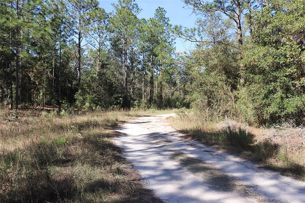 SW 131st Cir LOT 11 Ocala, FL 34481 - Thumbnail 4