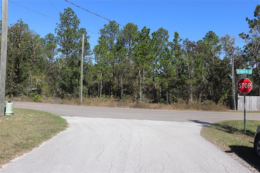 SW Indian Hill Dr LOT 15 Dunnellon, FL 34431 - Thumbnail 4