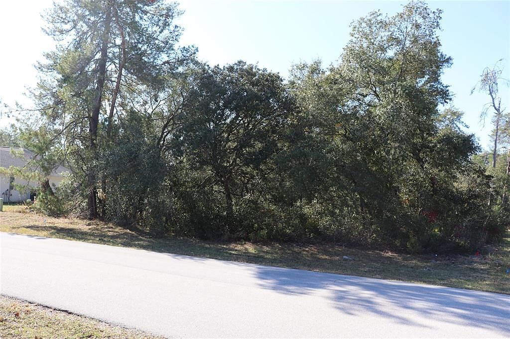 SW 157th St LOT 17 Ocala, FL 34473 - Thumbnail 4