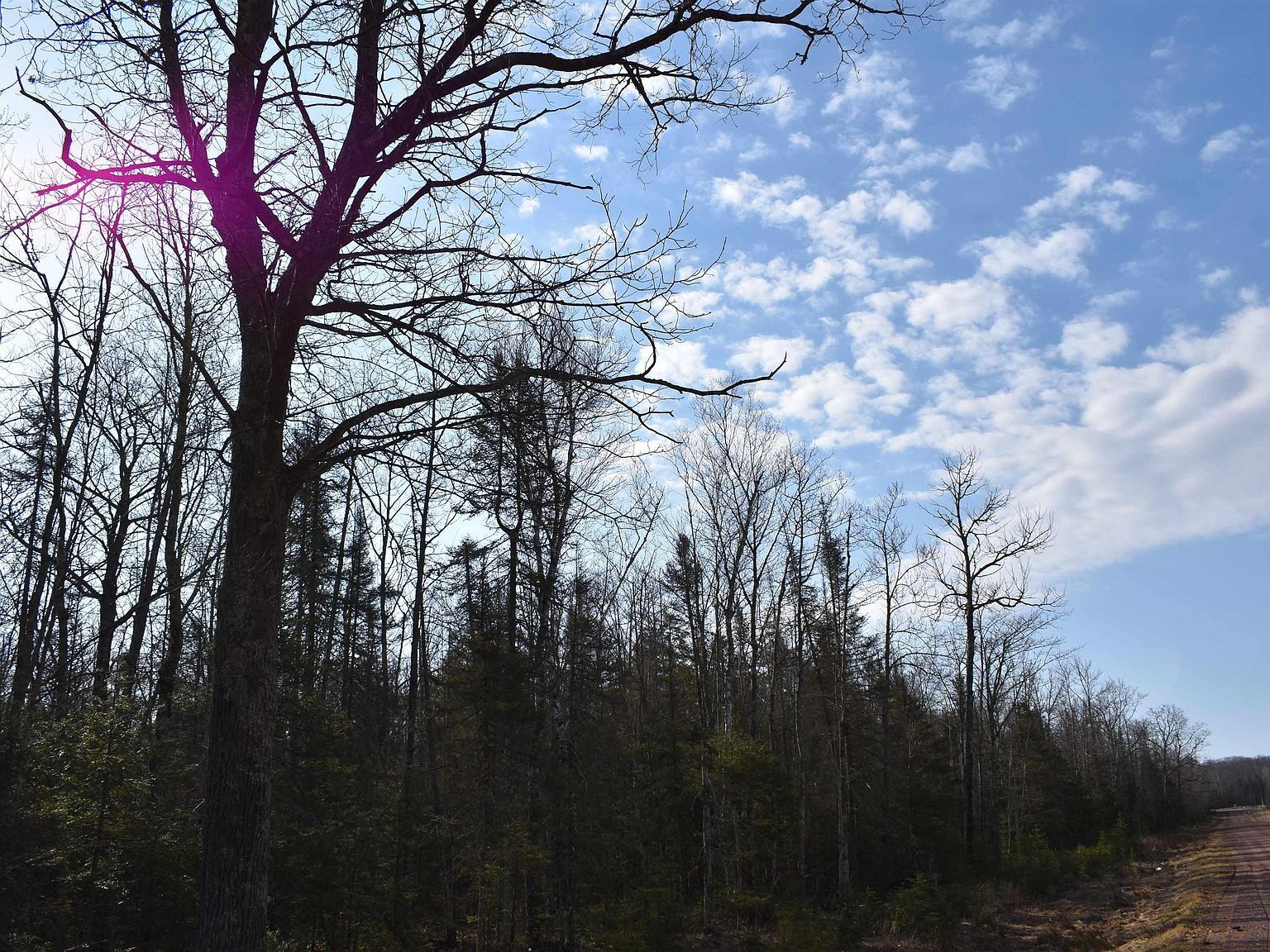 60 Andrew Anderson Rd Mason, WI 54856 - Thumbnail 4