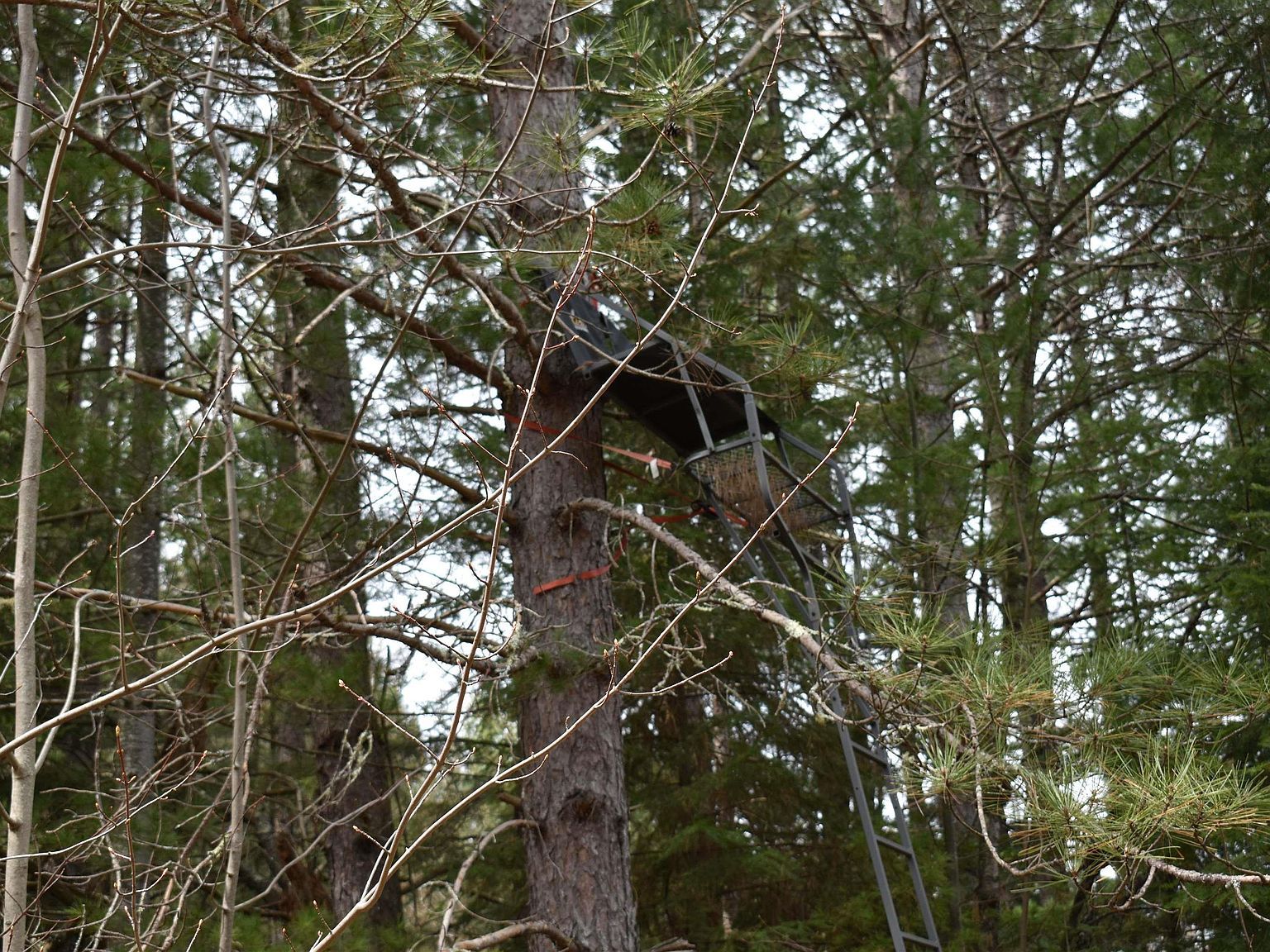 8697 E Town Line Rd Hawthorne, WI 54842 - Thumbnail 4