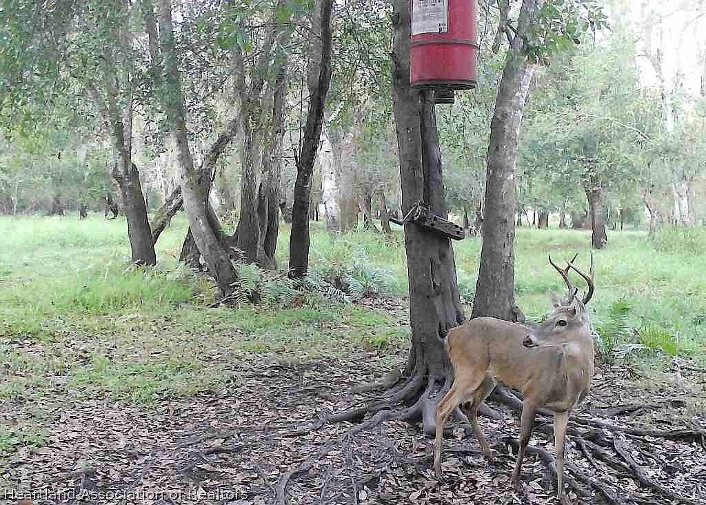 1042 Arbuckle Branch Rd Sebring, FL 33870 - Thumbnail 4