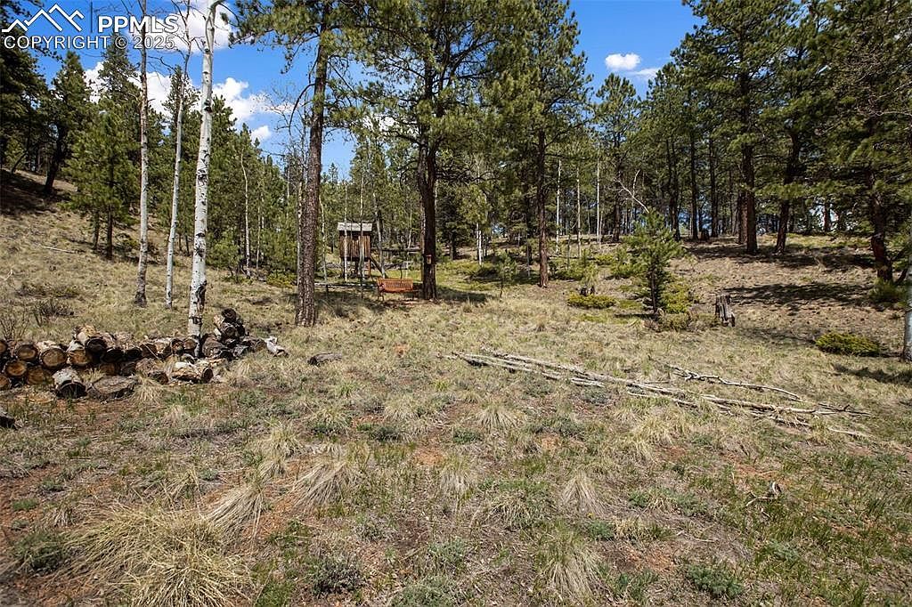 1011 W Bison Creek Trl Divide, CO 80814 - Thumbnail 4