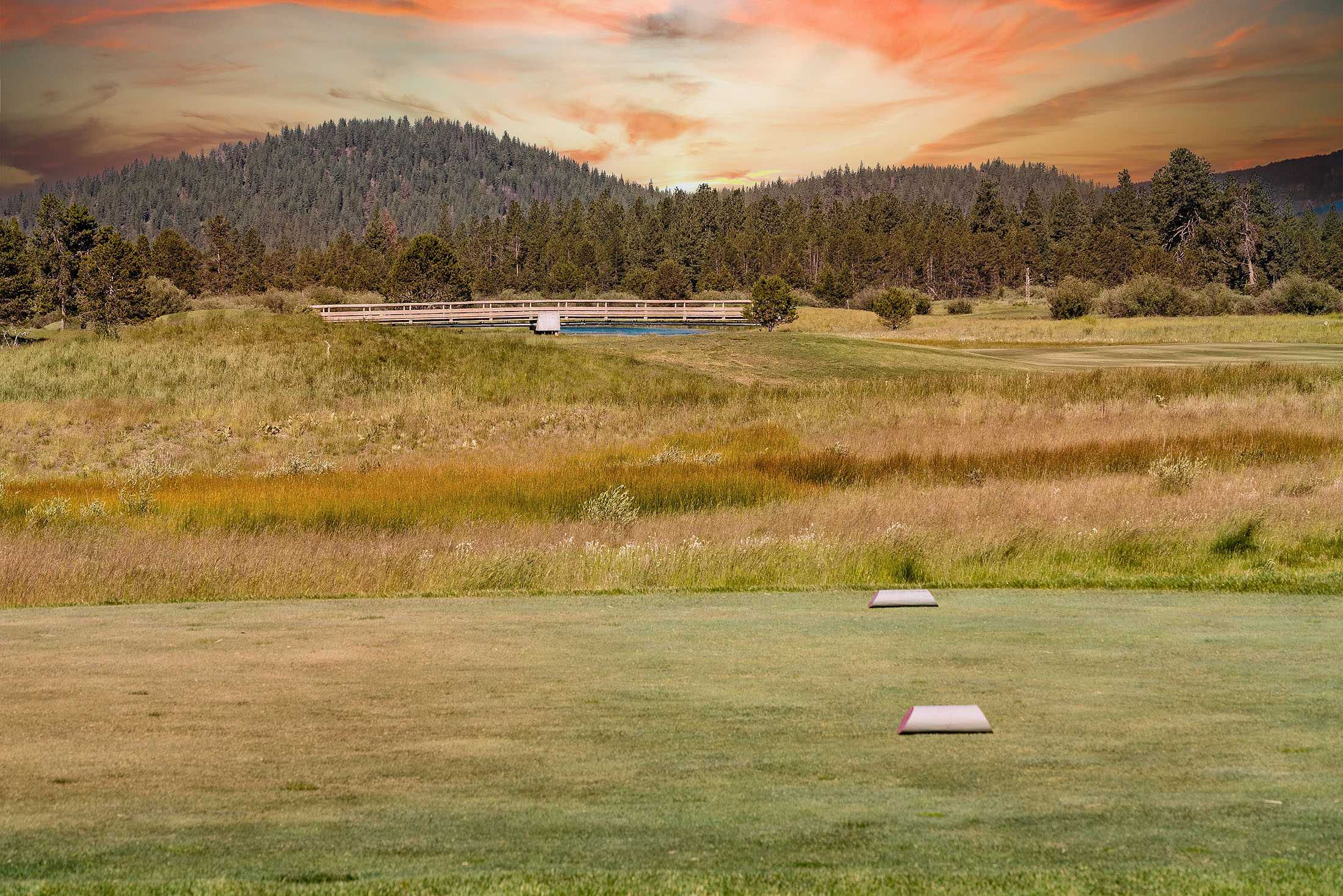 56575 Nest Pine Drive, Bend, OR, USA, 97707 - Thumbnail 4