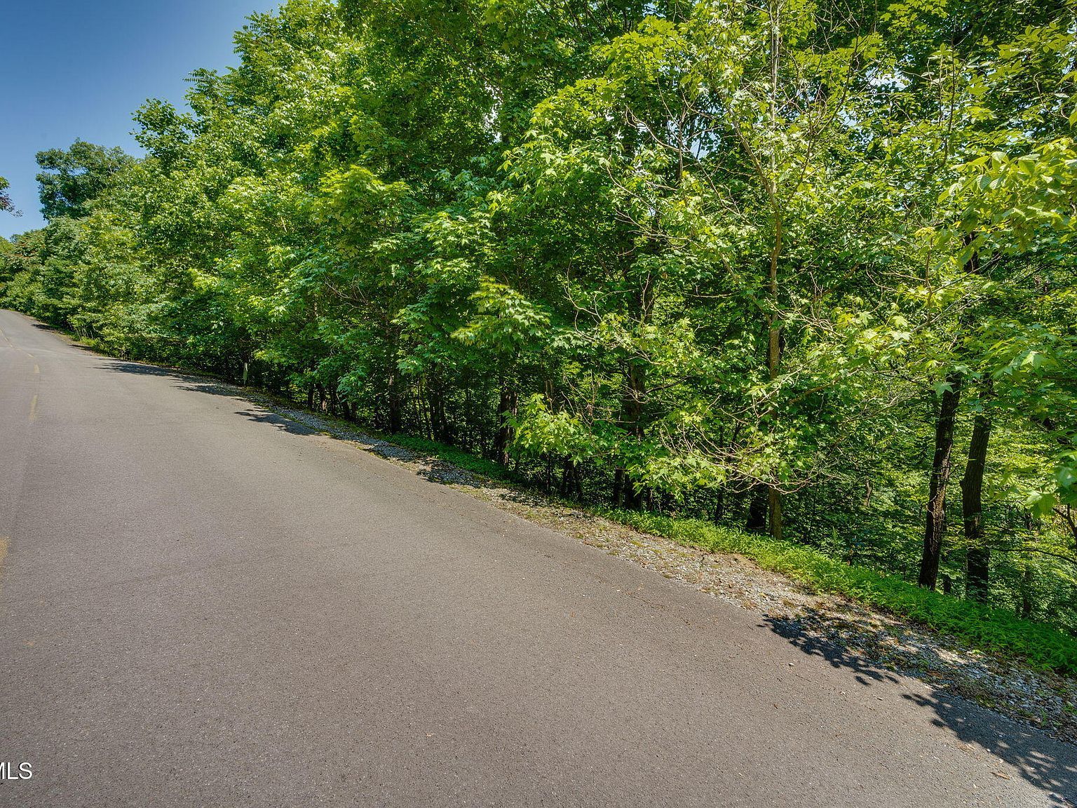 4 Walnut Bend Dr Whitesburg, TN 37891 - Thumbnail 4