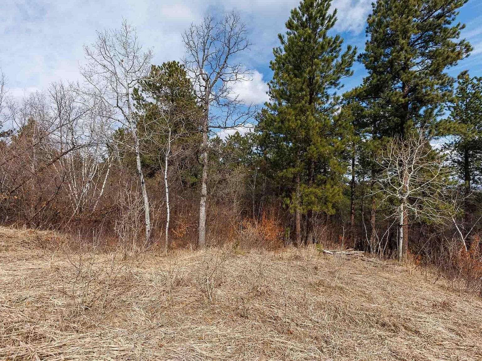 2203 Pasque Loop Spearfish, SD 57783 - Thumbnail 4