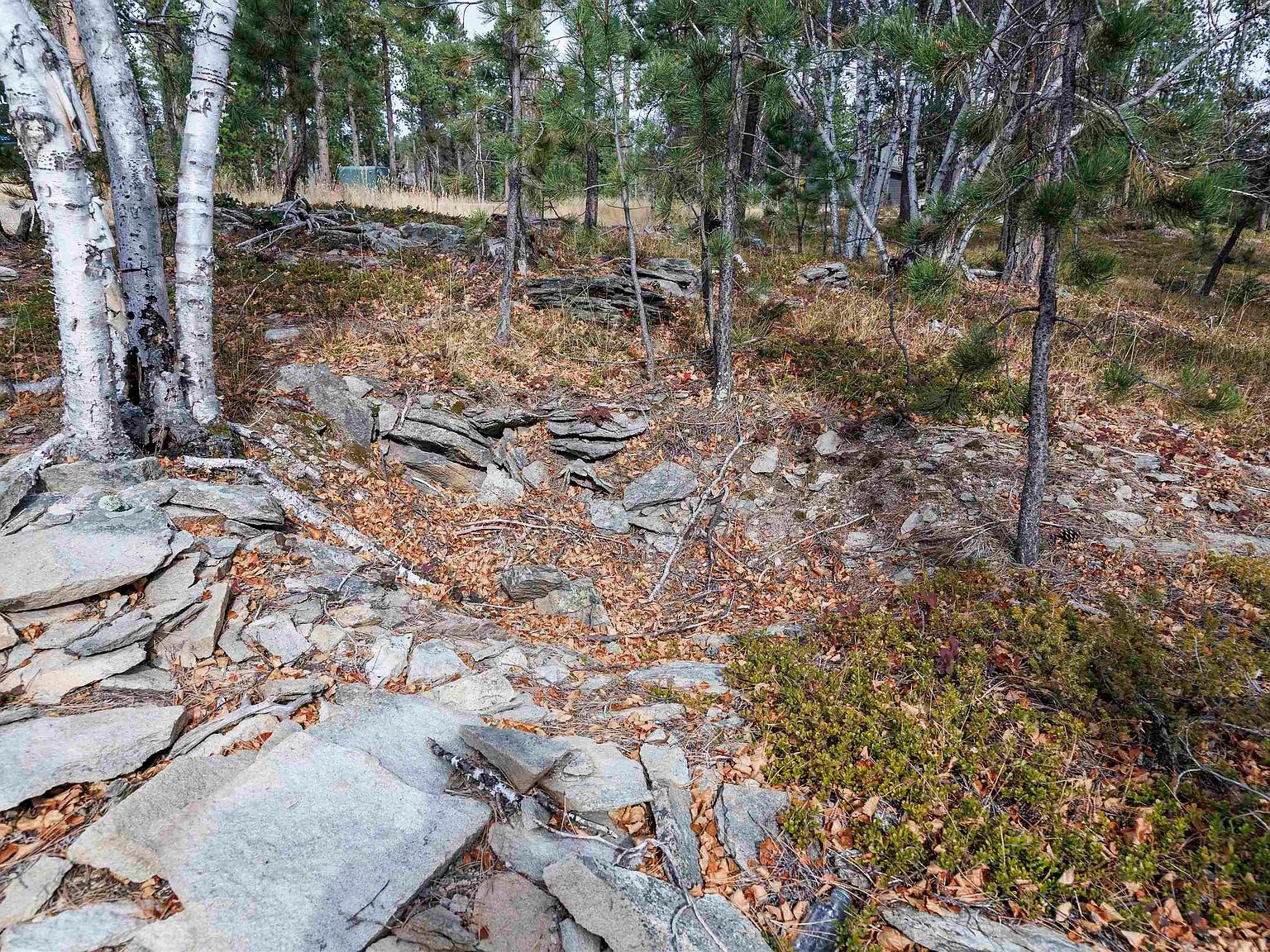 LOT 4 Autumn Ln Lead, SD 57754 - Thumbnail 4