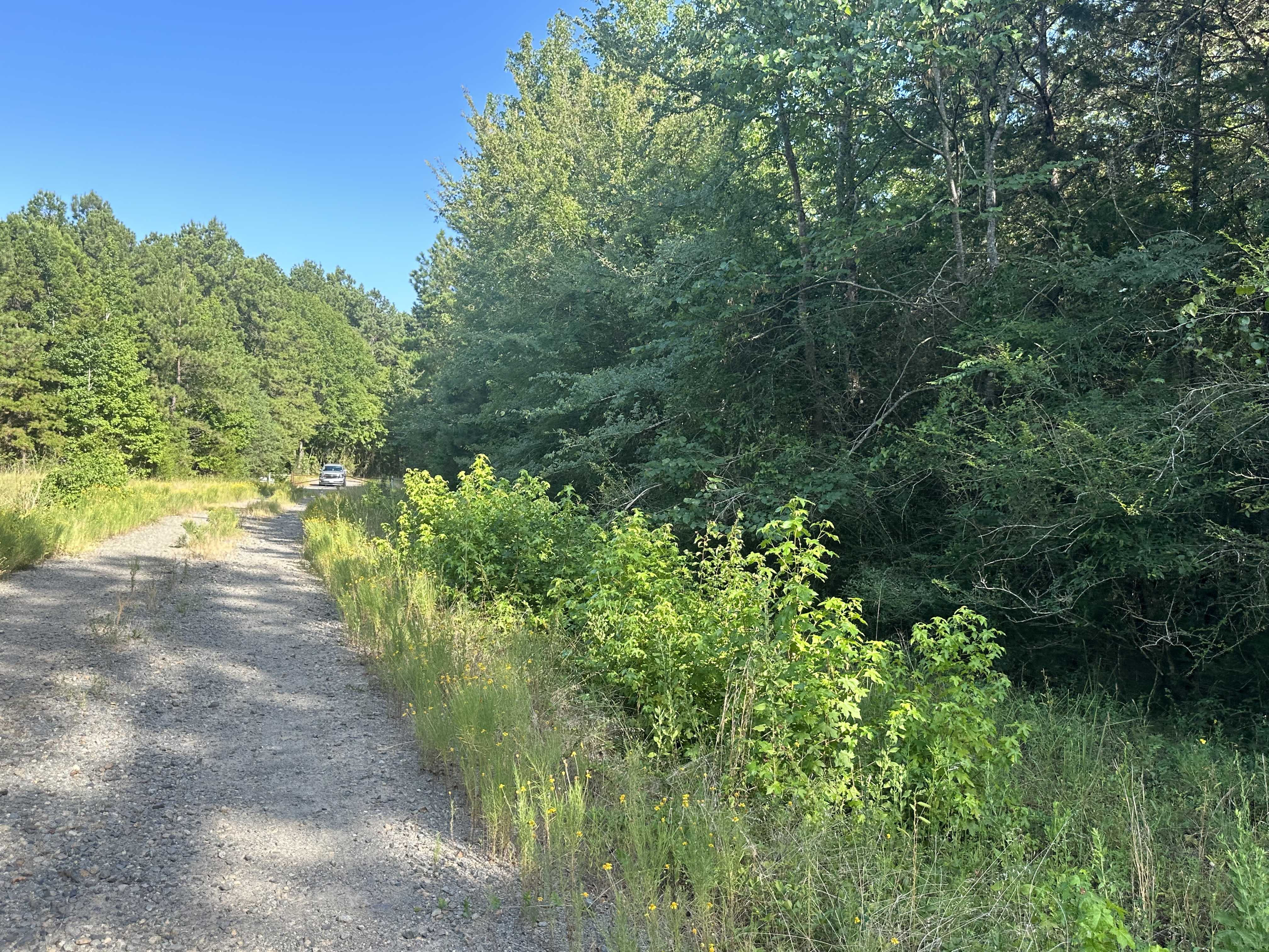 635 County Road 843, Cushing, TX, USA, 75760 - Thumbnail 4