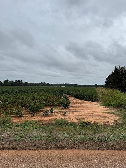 Tiverton Church Rd Wedgefield, SC 29168 - Thumbnail 4