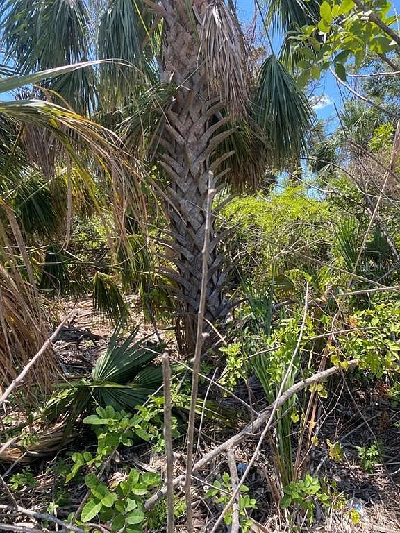 183 Cougar Way #941 Rotonda West, FL 33947 - Thumbnail 4