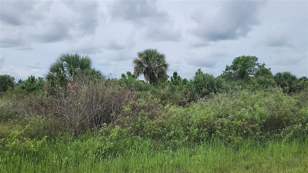 14988 NW 316th St Okeechobee, FL 34972 - Thumbnail 4