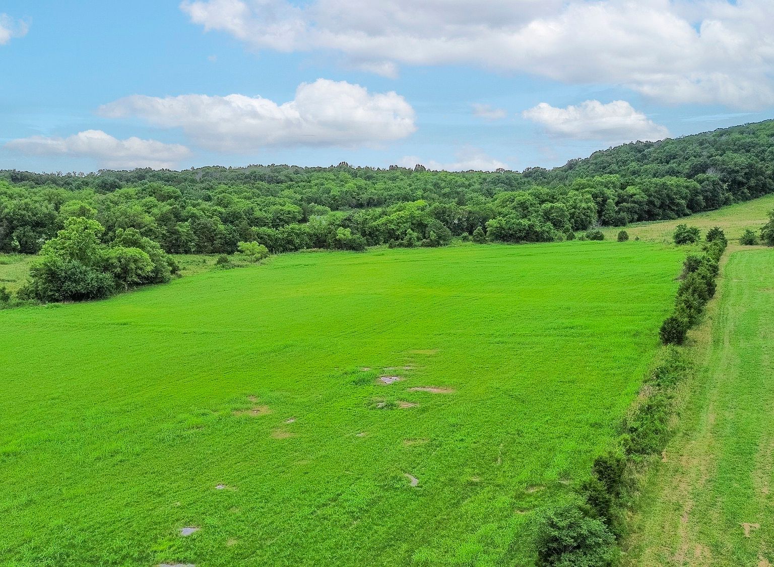 6677 Trousdale Ferry Pike Lebanon, TN 37090 - Thumbnail 4