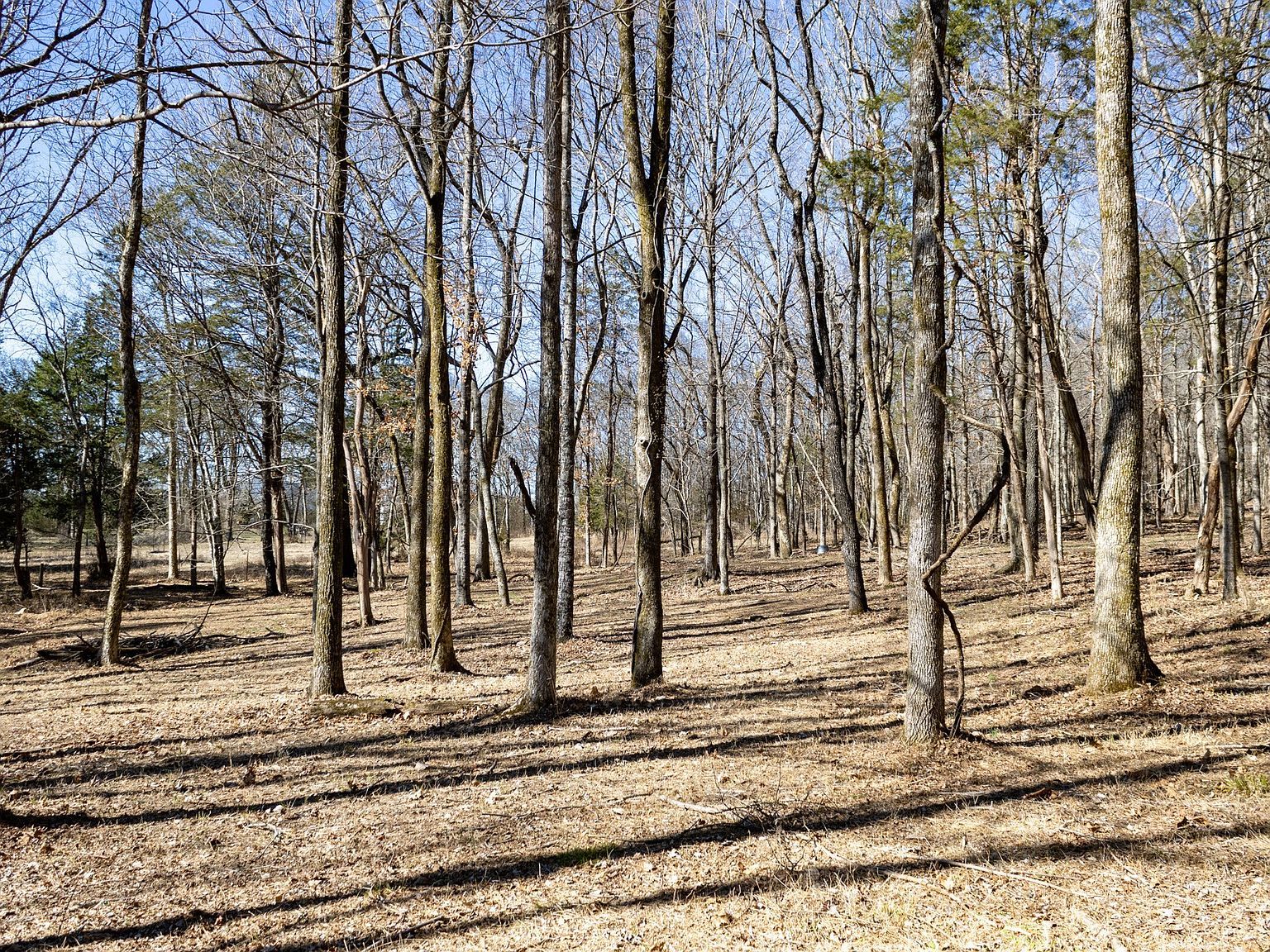 2958 Spanntown Rd Arrington, TN 37014  | Land/Lot