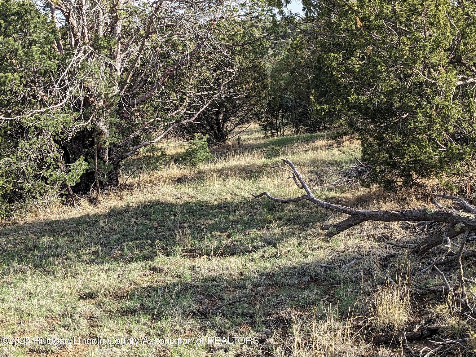 165-166 Corvo Crista #2 Alto, NM 88312 - Thumbnail 4