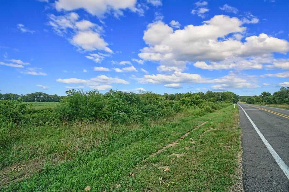 40 Acres HWY 27, Hector, AR, 72843 - Thumbnail 4