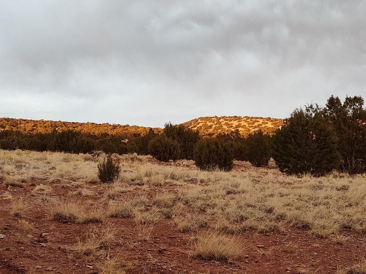 268 Old Abo Trl Mountainair, NM 87036 - Thumbnail 4