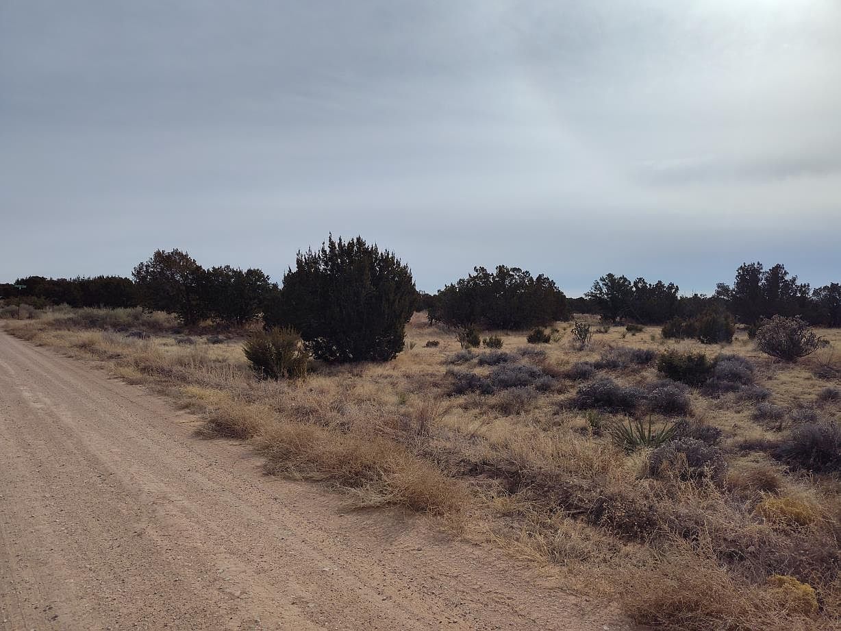 7th St E Mountainair, NM 87036 - Thumbnail 4