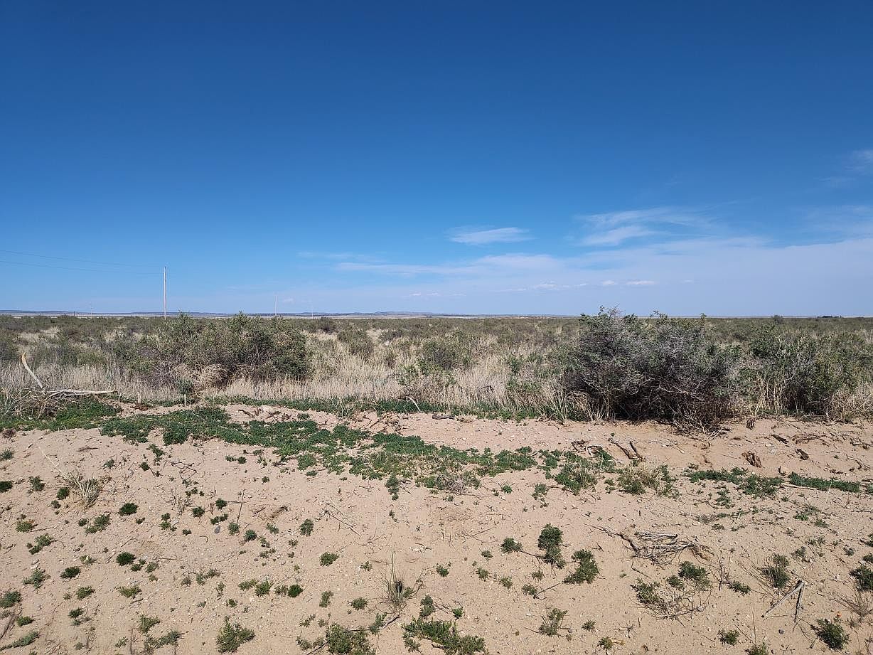 Ice Plant Ct Moriarty, NM 87035 - Thumbnail 4