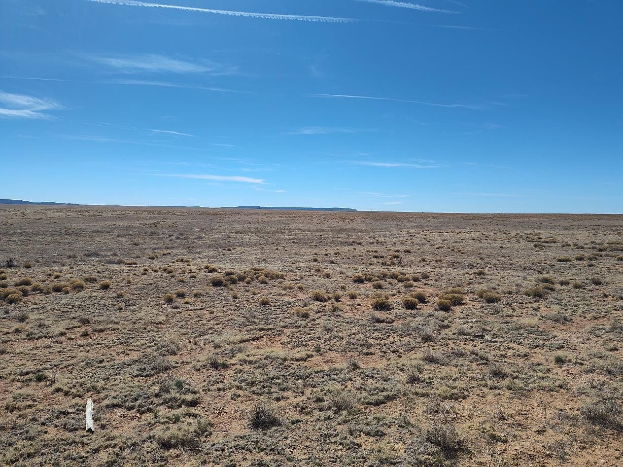 Tracts 1&2 Old Willard Rd Mountainair, NM 87036 - Thumbnail 4