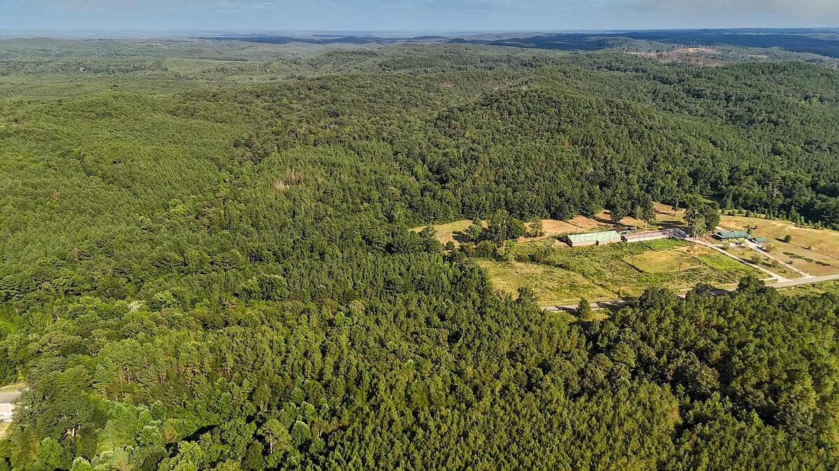 County Road 63 N Carbon Hill, AL 35549 - Thumbnail 4