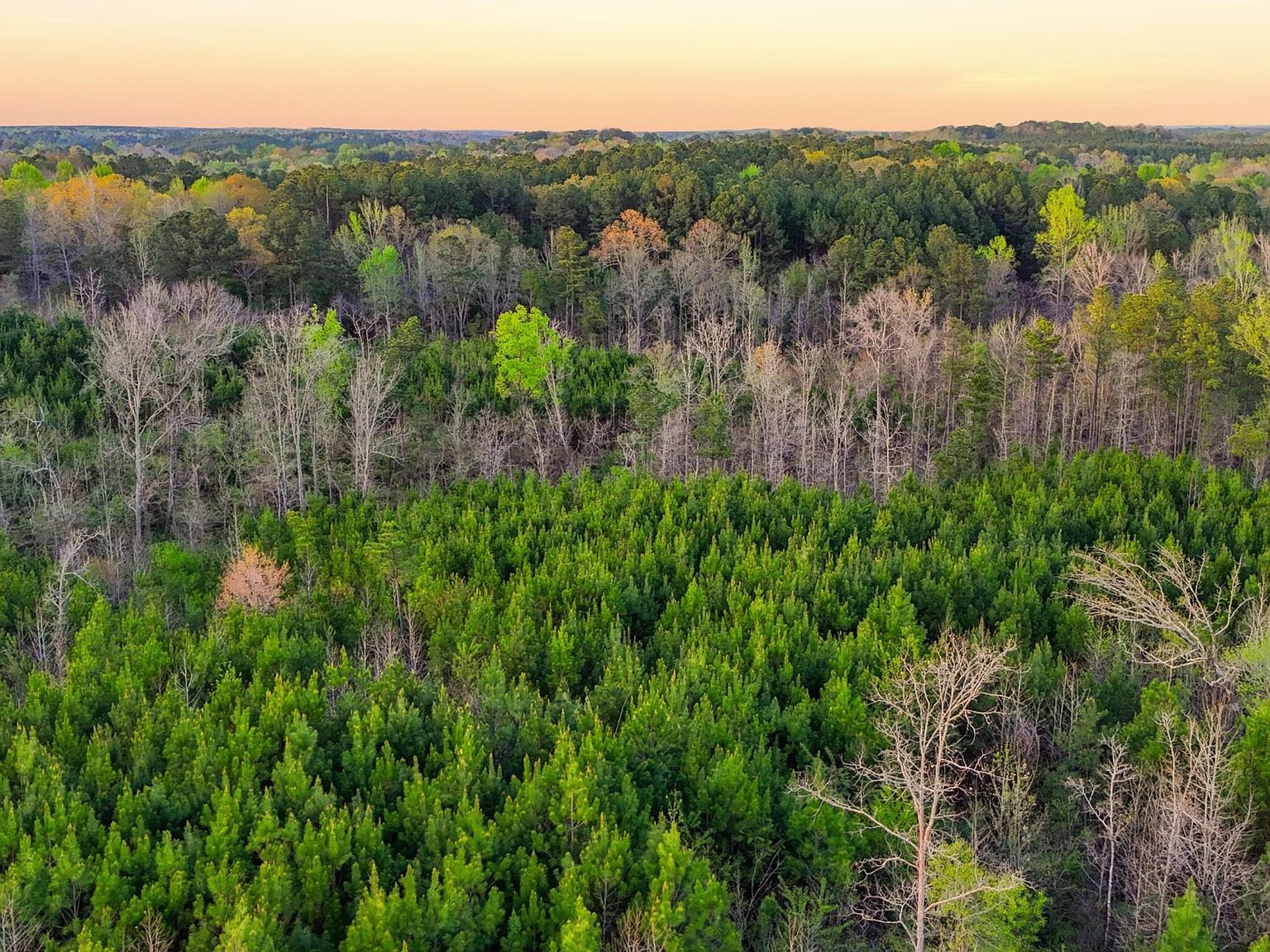 Old Bankhead Hwy Cordova, AL 35550 - Thumbnail 4