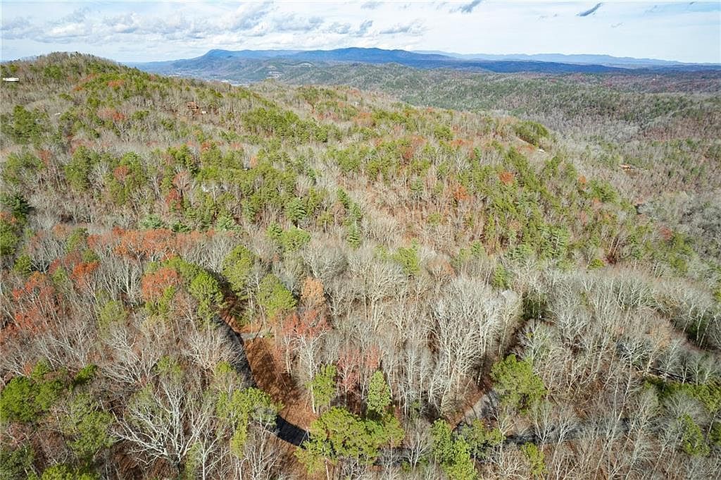 533 Marque Ln NE #533 Ranger, GA 30734 - Thumbnail 4