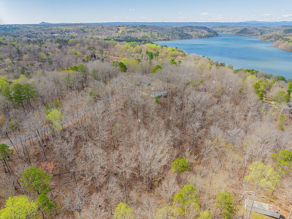 0 Sparrow Way Toccoa, GA 30577 - Thumbnail 4