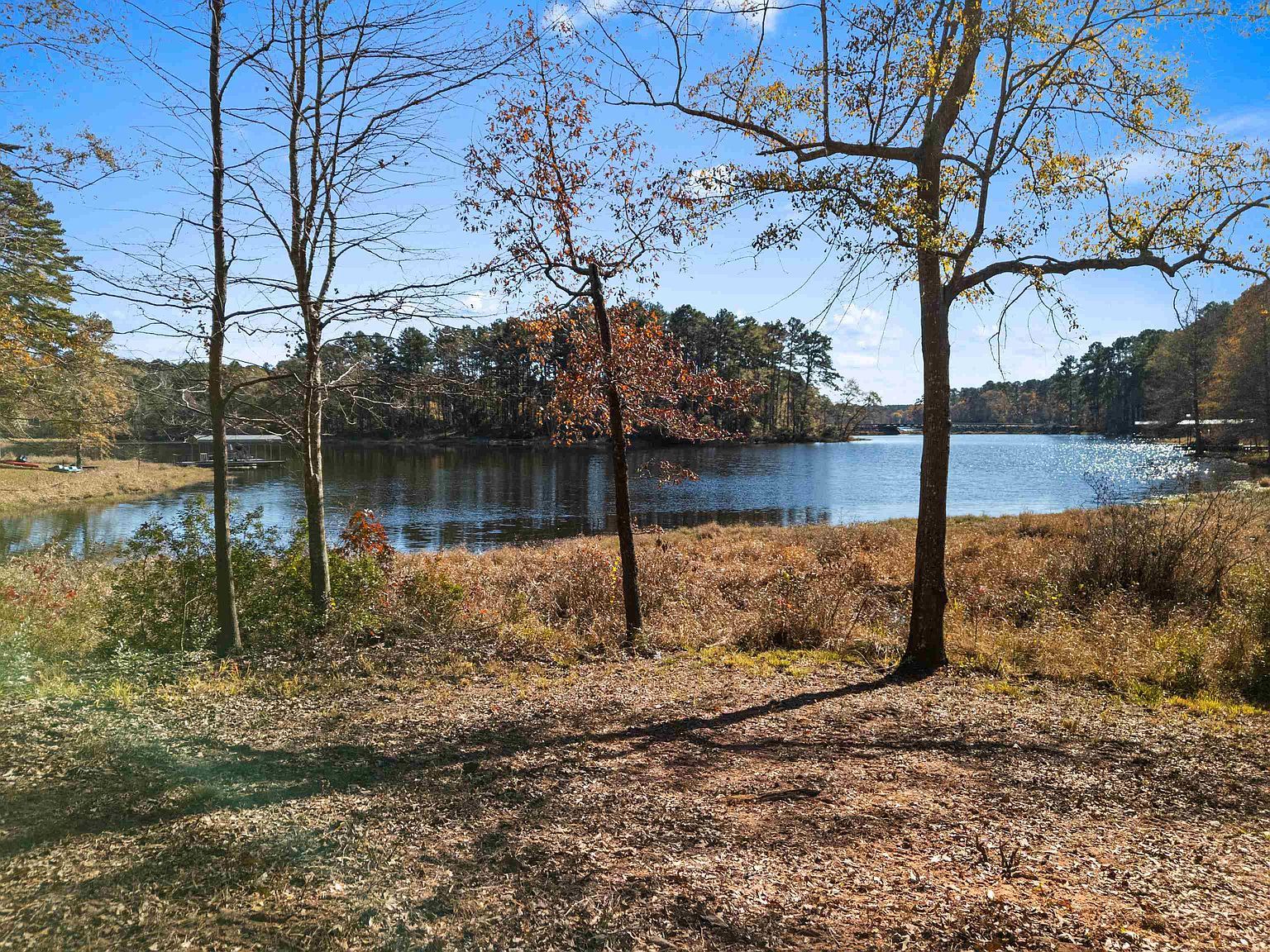 903 County Road 1537 Avinger, TX 75630 - Thumbnail 4