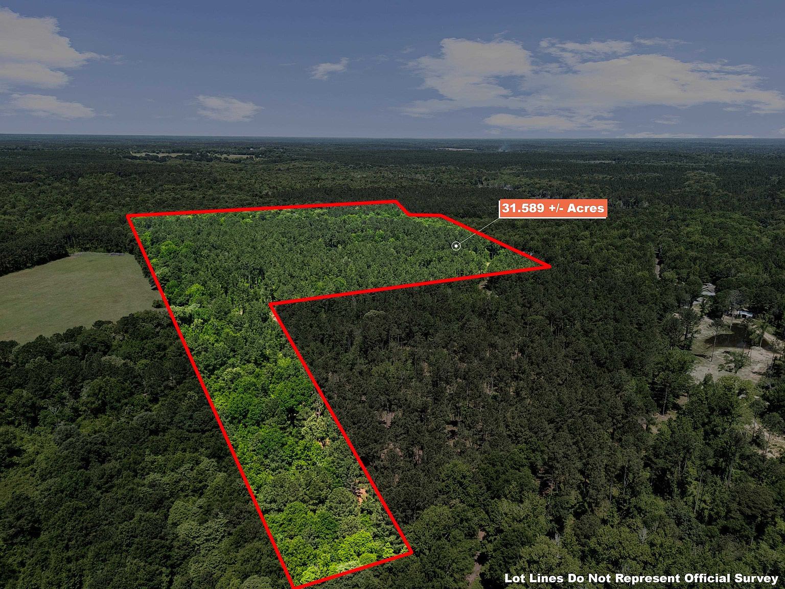 1392 County Road 4564 Bivins, TX 75555 - Thumbnail 4