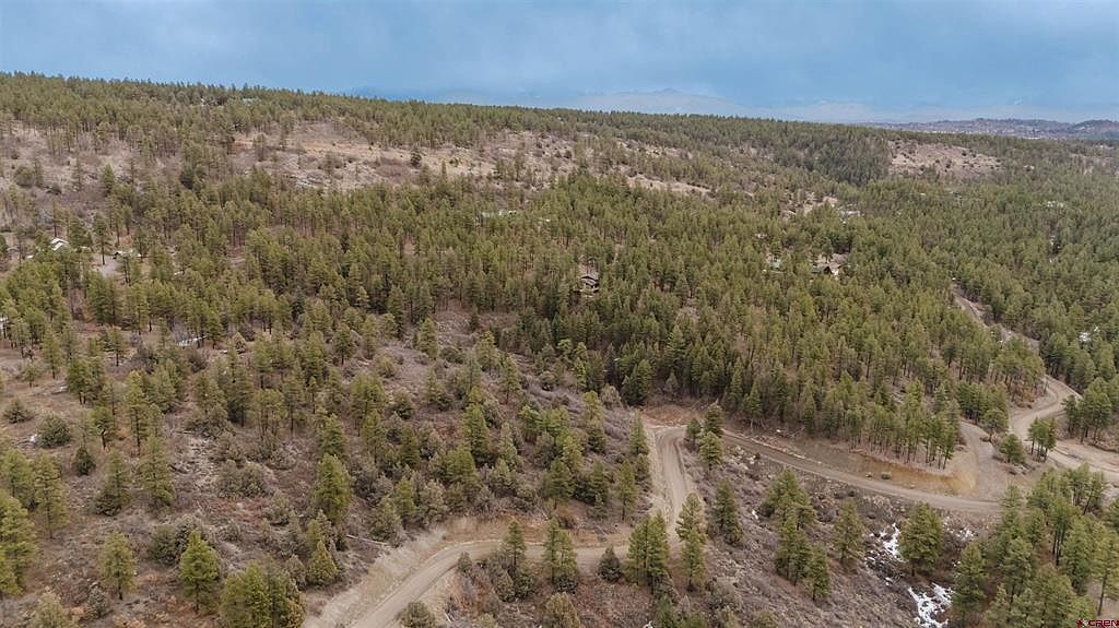 199 Starling Cir Pagosa Springs, CO 81147 - Thumbnail 4