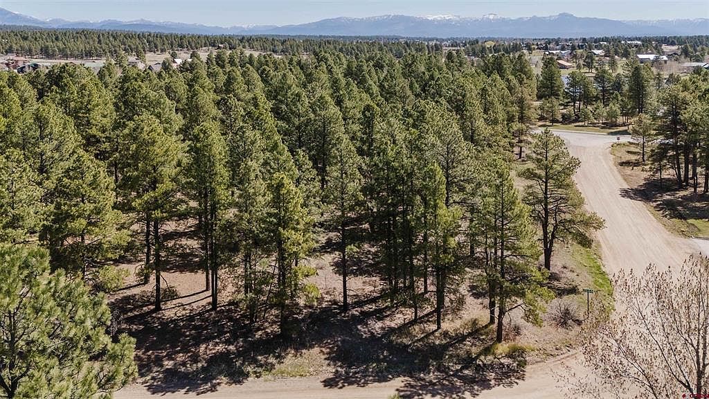 57 Martinez Pl Pagosa Springs, CO 81147 - Thumbnail 4
